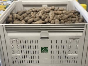 Bin of Potatoes