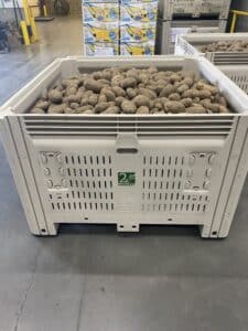 Bin of Potatoes