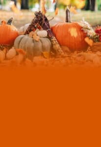 Thanksgiving Card FY25 Oct 2024 DSC02164 edit 1920 tiny 1 1