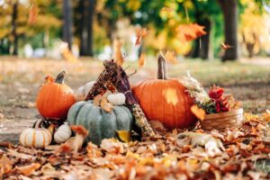 Thanksgiving autumnal decor outside with pumpkins and falling leaves