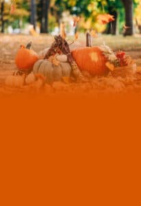 Thanksgiving autumnal decor outside with pumpkins and falling leaves