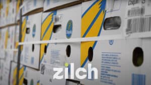 zilch video poster 2