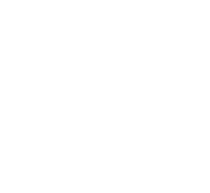 bite2go logo white