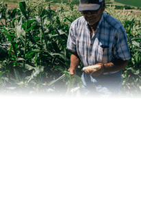 Fred holding corn on his farm