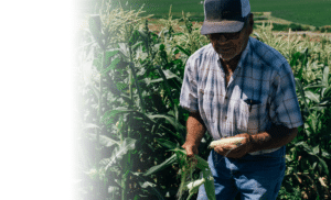 Fred holding corn on his farm