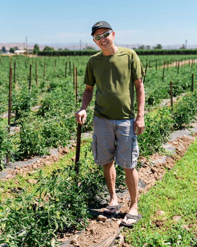 Man standing in a field with sprouts of food growing.