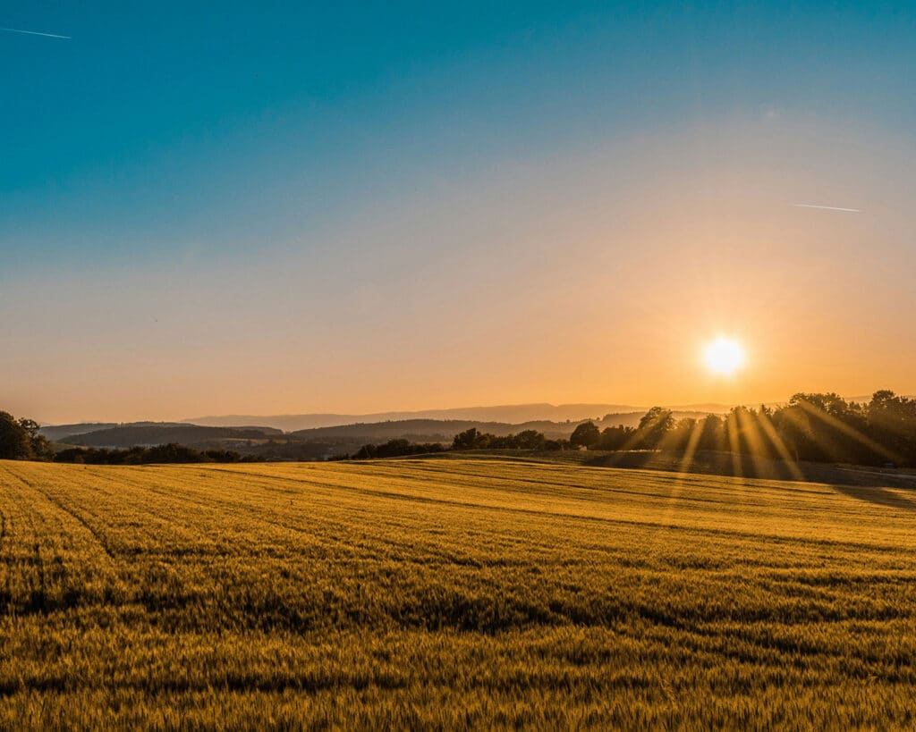 Photo of farmland with a sunset in the background